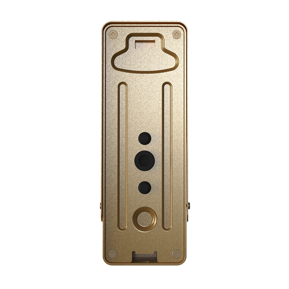 Slinex ML-20HD (gold + black) Individual outdoor panel with AHD/CVBS support